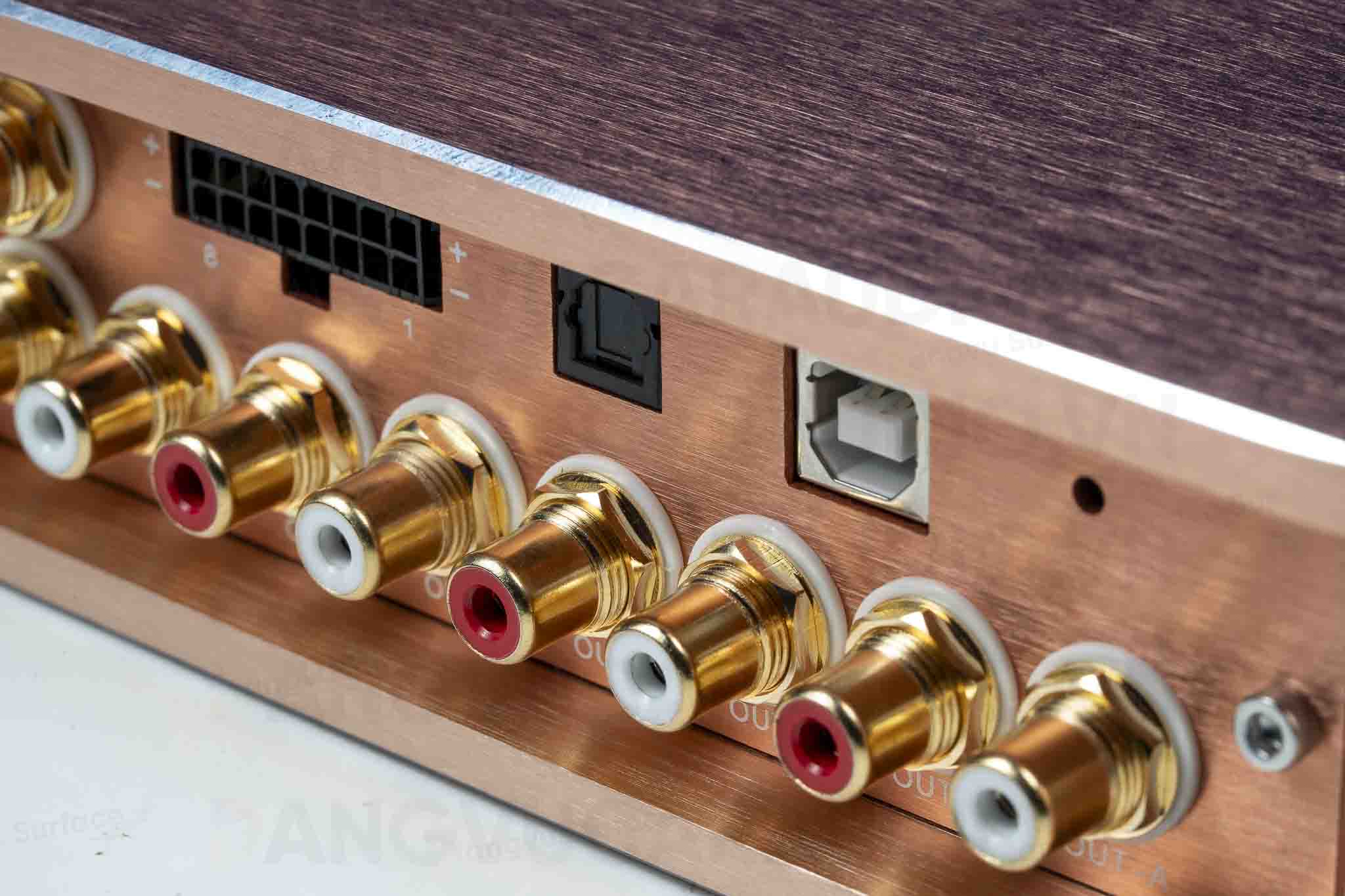 Cổng RCA của Goldhorn P2 Pro v2 - Đăng Vũ Car Audio