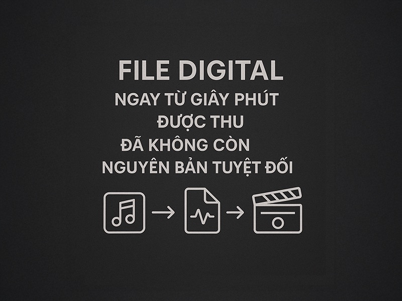 File Digital Đăng Vũ Car Audio