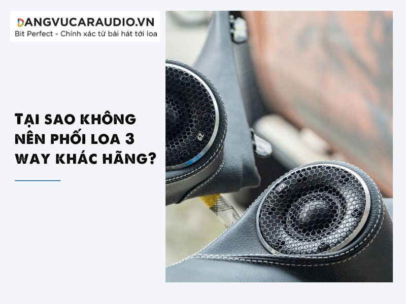 Tại Sao Không Nên Phối Loa 3 Way Khác Hãng?