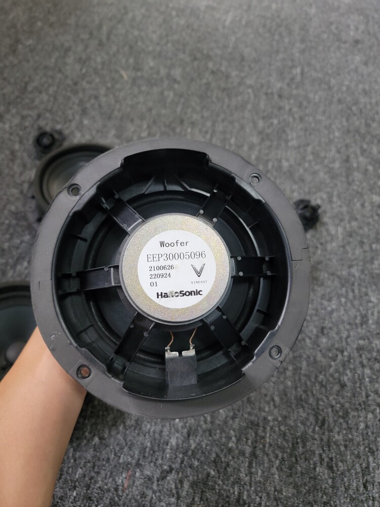 Loa của Vinfast VF9 là Hanasonic 