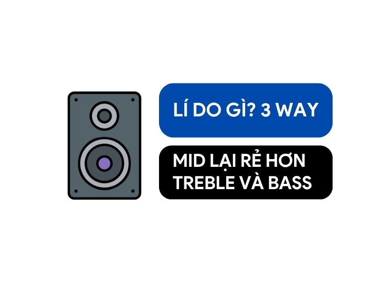 Tại Sao Loa Mid Trong 3 Way Có Giá Thấp?
