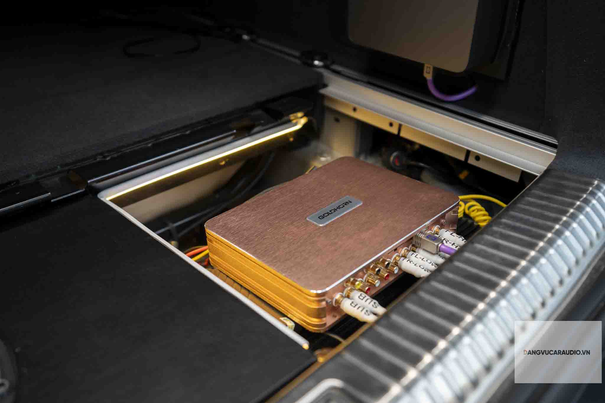 DSP goldhorn P2 Pro v2