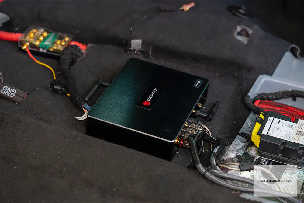 Goldhorn P1 DSP có 8 cổng RCA output